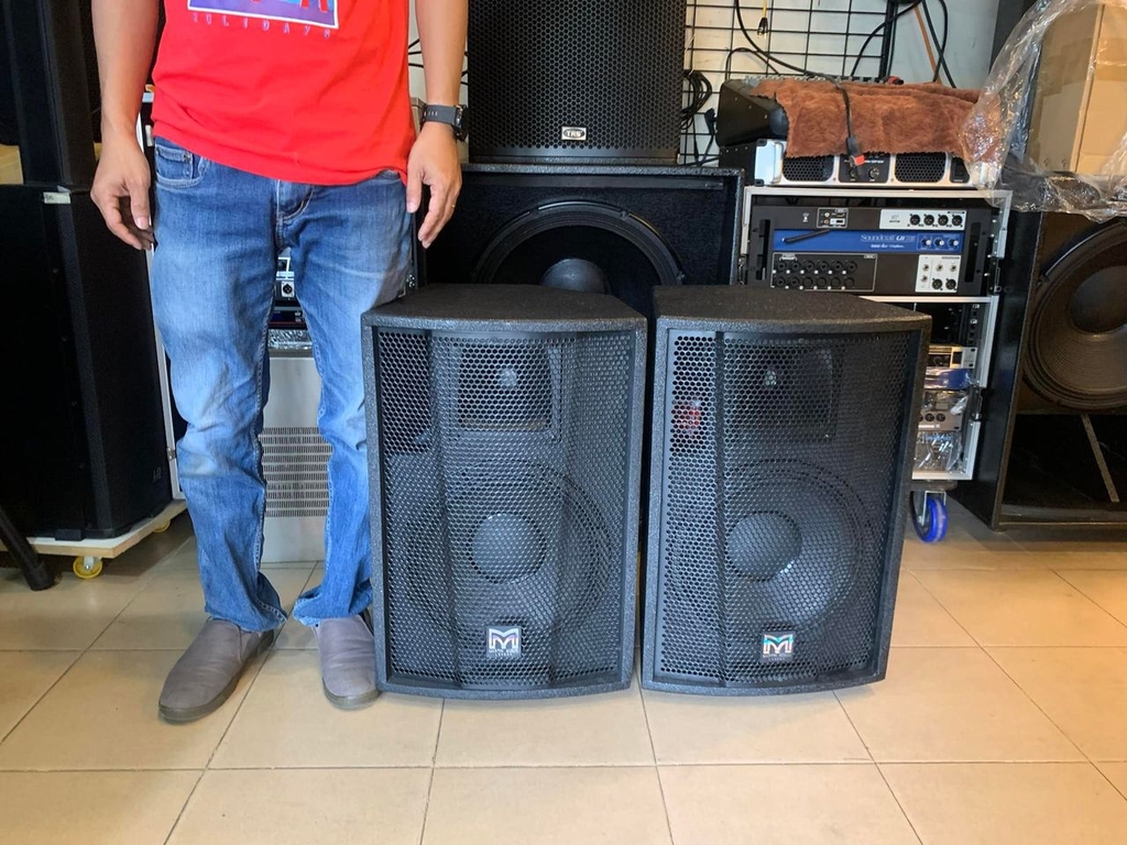 MARTIN F12+ Bass 12inch - Chuyên nghiệp