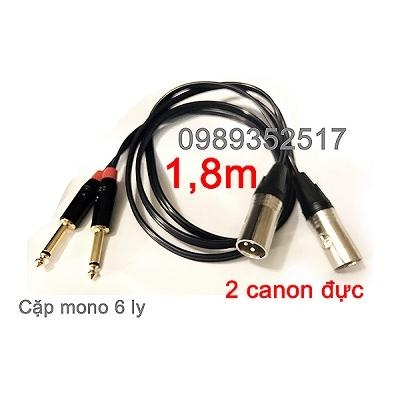 Hai Đầu 6.3mm ra hai đầu Canon XRL Đực