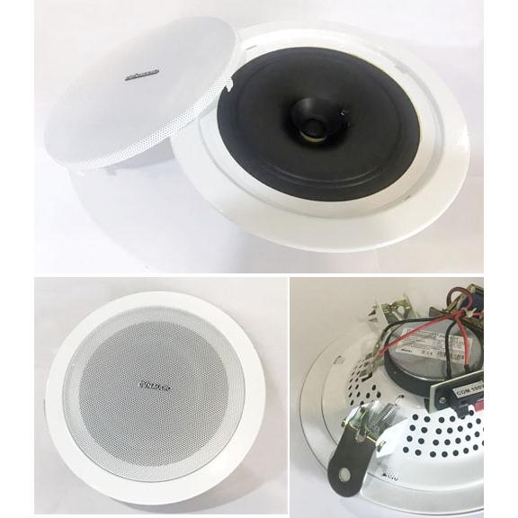 Dynaudio AW-10T, nghe nhạc trong tiếng & du dương