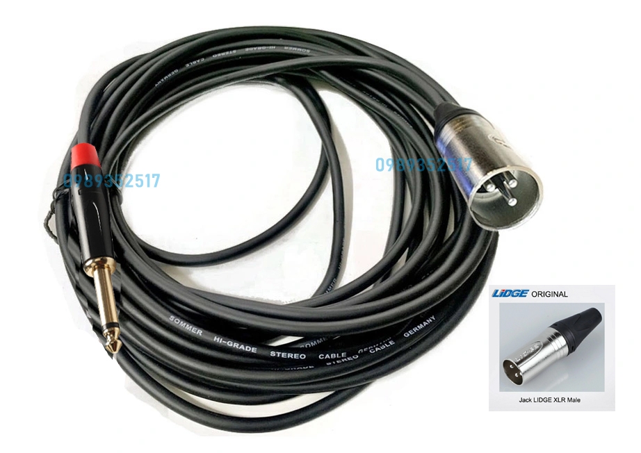 TAD-919 10M Canon Đực XLR & 6.5mm - Chóng Nhiễu, Chân Mạ Bạc