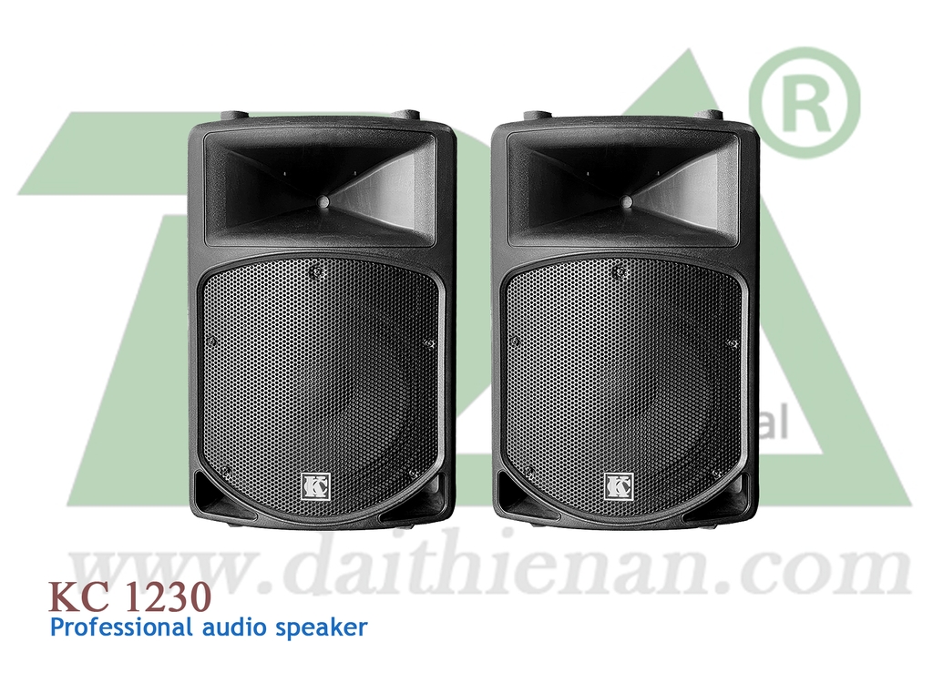 KC KC-1230 Professional Plastic Speaker Passive 12inch