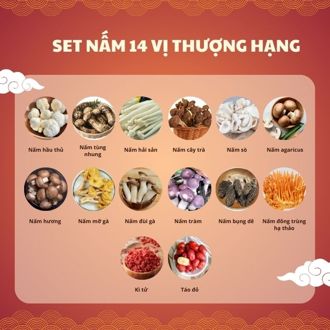 Set nấm khô 14 vị thượng hạng