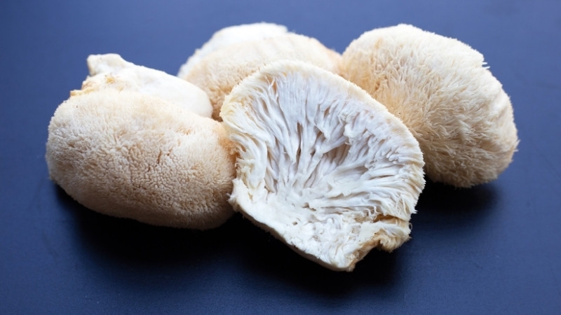 Nấm Hầu Thủ Tươi