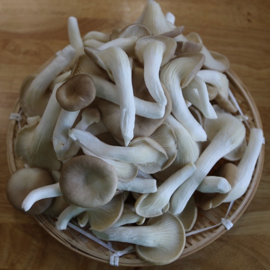 Nấm Bào Ngư Xám (Nấm Sò Nâu)