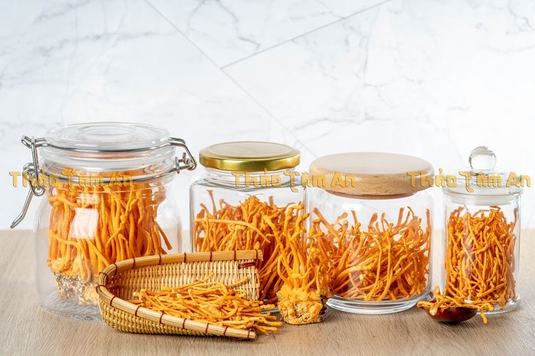 Nấm đông trùng hạ thảo khô ( 100g )