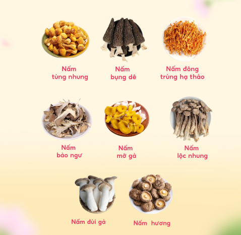 Set Dưỡng Sinh 8 Vị Nấm Quý