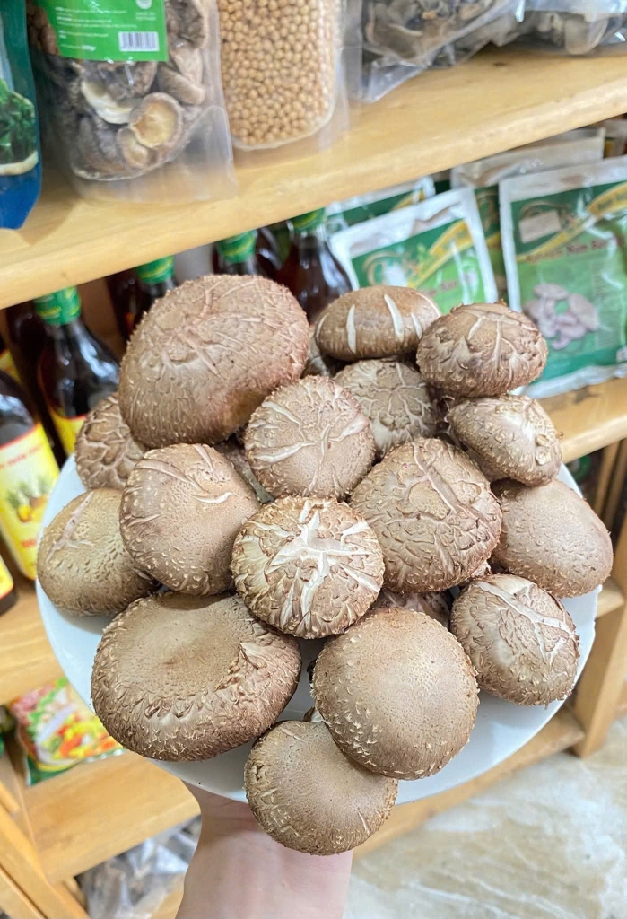 Nấm Hương ( Nấm Đông Cô )