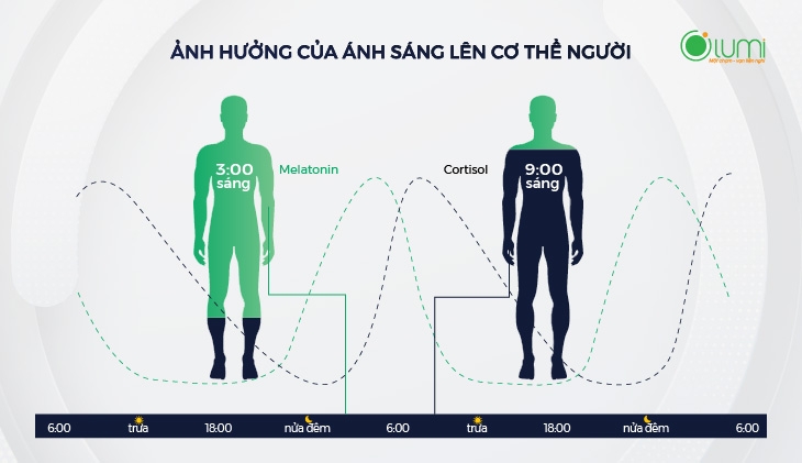 Ảnh hưởng của ánh sáng lên cơ thể người