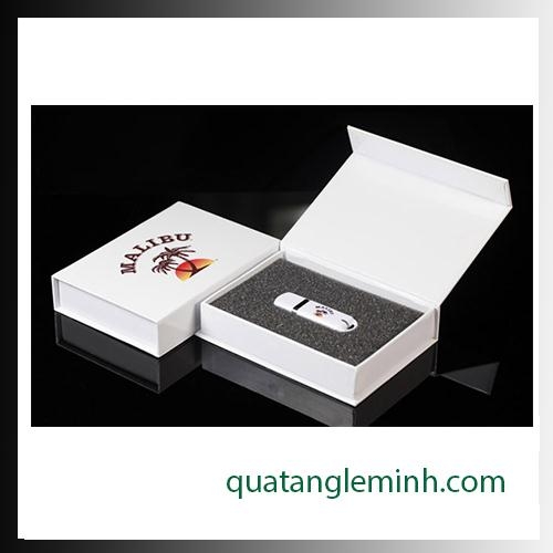 USB quà tặng - hộp usb - hộp giấy mỹ thuật 001