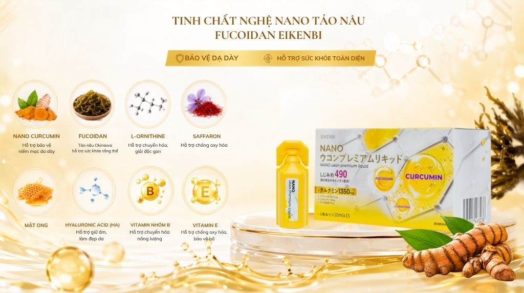 Tinh chất nghệ Nano Tảo Nâu Fucoidan Eikenbi