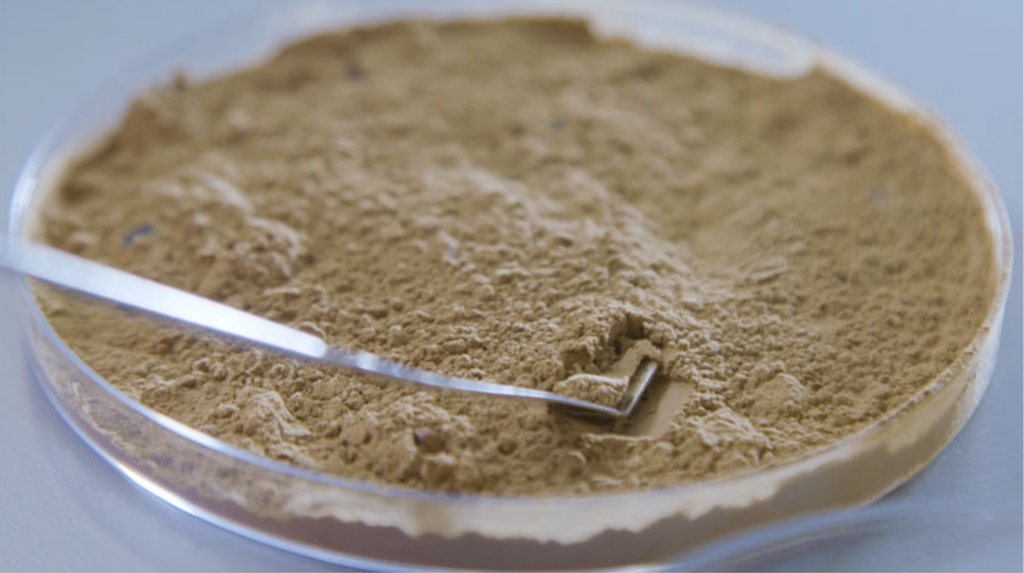 Công nghệ nano trong Fucoidan hoạt động ra sao?