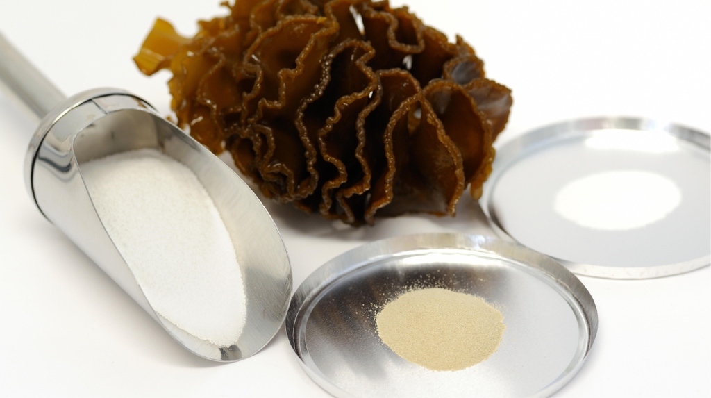 Fucoidan là gì và vì sao nguồn gốc lại quan trọng?