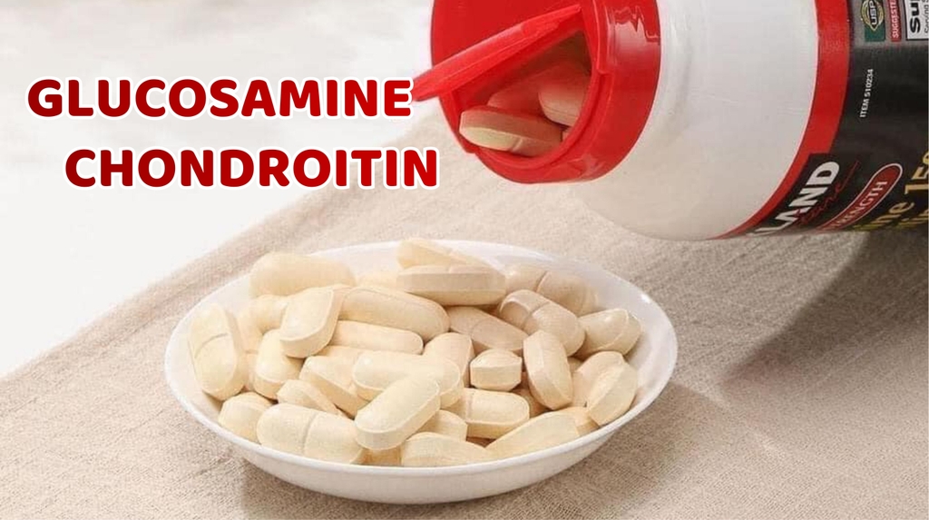 Glucosamine và Chondroitin là gì?