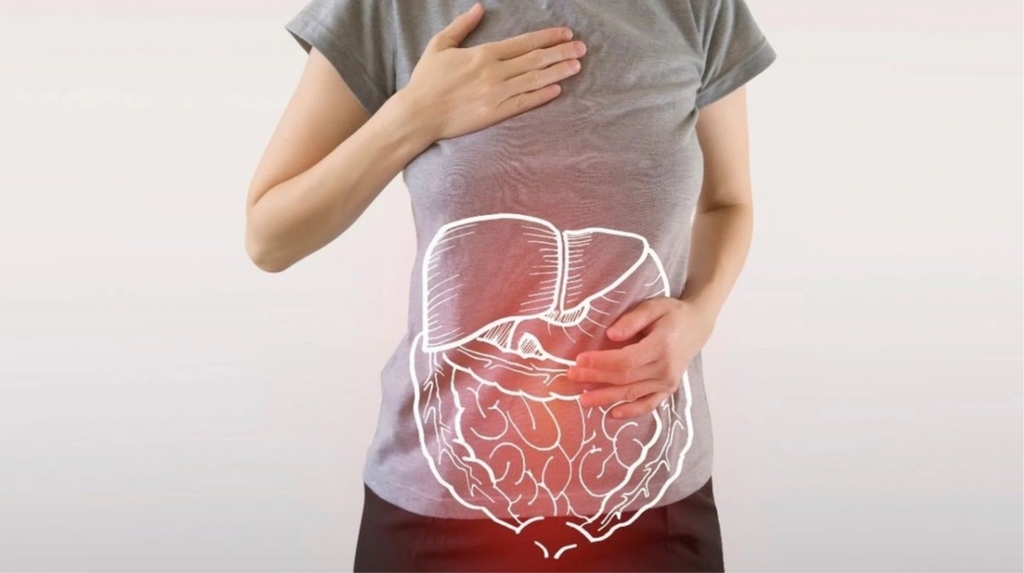 Nghệ Nano hỗ trợ hệ tiêu hóa hoạt động hiệu quả