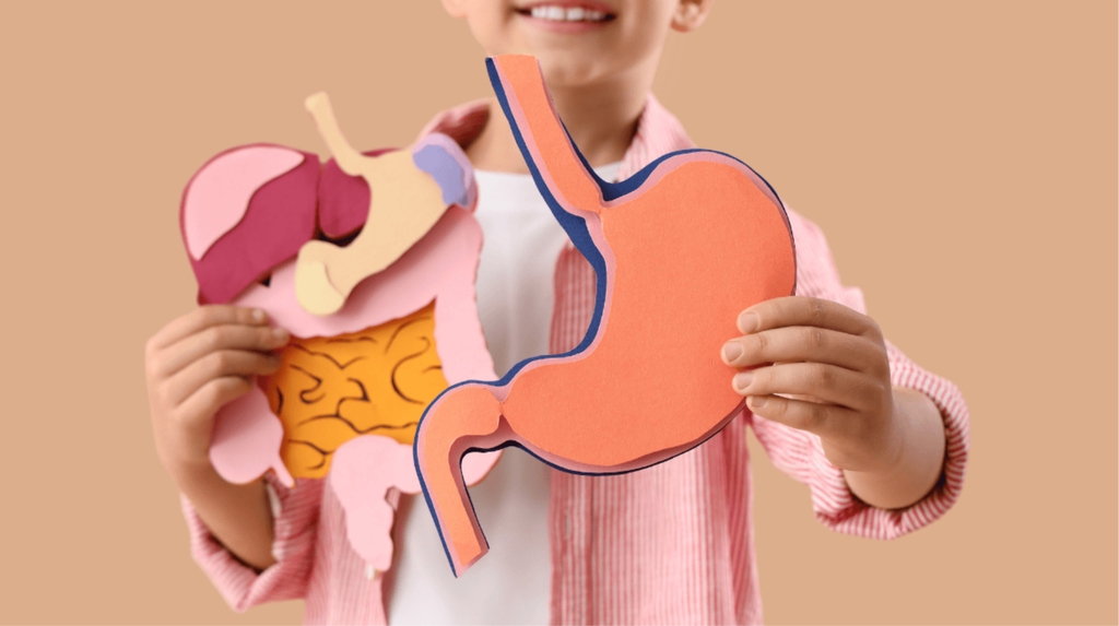 Nghệ Nano hỗ trợ hệ tiêu hóa và đường ruột của trẻ
