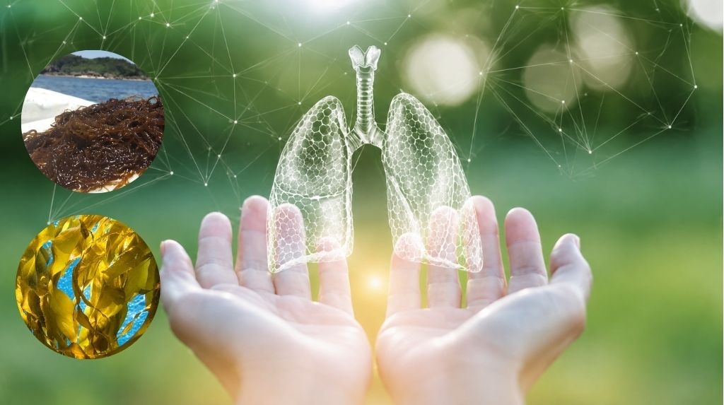 Những lợi ích khi bổ sung Fucoidan trong quá trình điều trị ung thư phổi