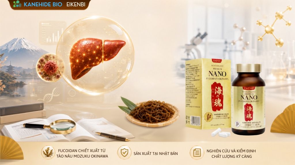 Sản Phẩm Fucoidan Hỗ Trợ Điều Trị Ung Thư Gan Hiệu Quả