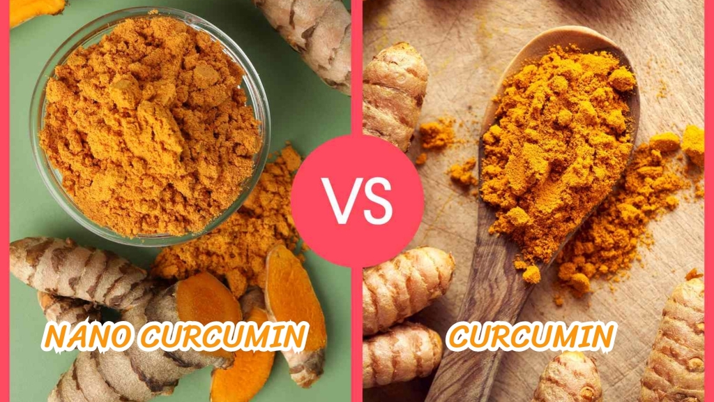 So sánh Curcumin và Nano Curcumin về khả năng hấp thu