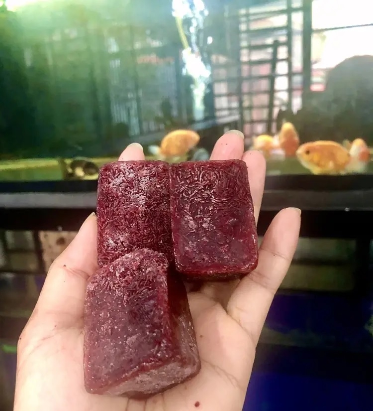 Trùn chỉ đông lạnh