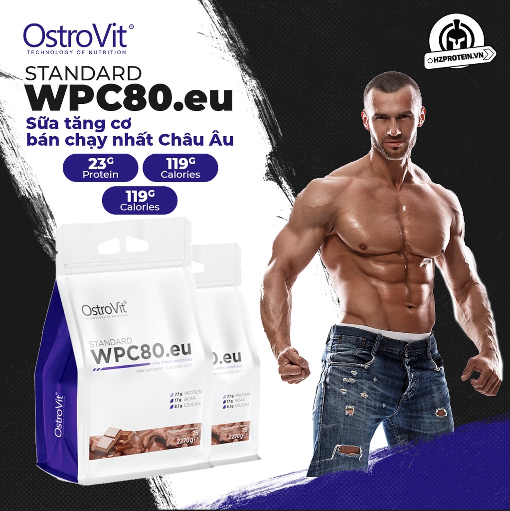 OSTROVIT WHEY CONCENTRATE STANDARD WPC80 (5 LBS)