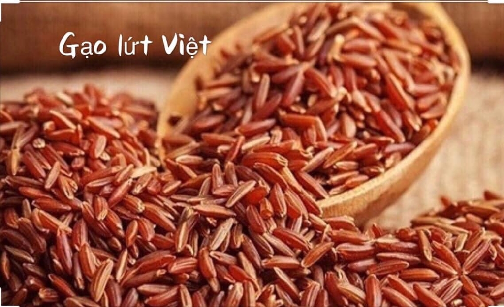 Trà Sencha gạo lứt HYGIE