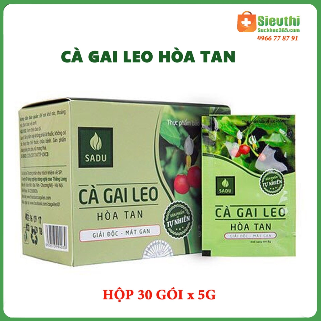 Trà Cà Gai Leo Hoà Tan Sadu- Bảo vệ gan Trà Cà Gai Leo Hoà Tan Sadu- Bảo Vệ Gan