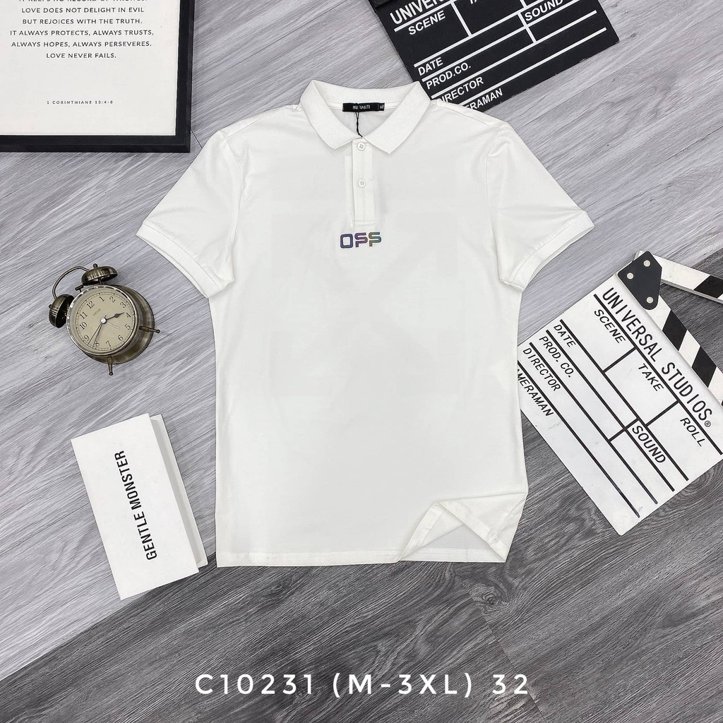 AT POLO C10231 (M-3XL)