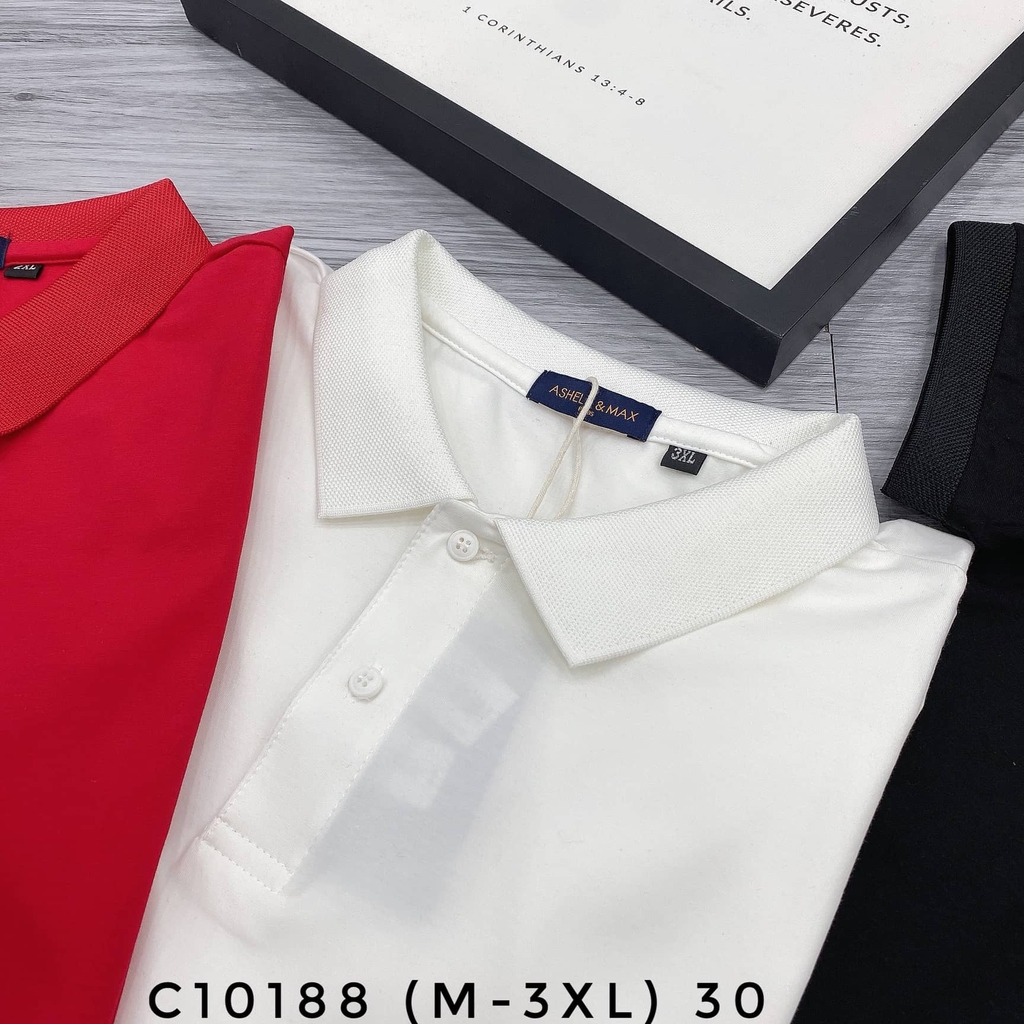 AT POLO C10188 (M-4XL)