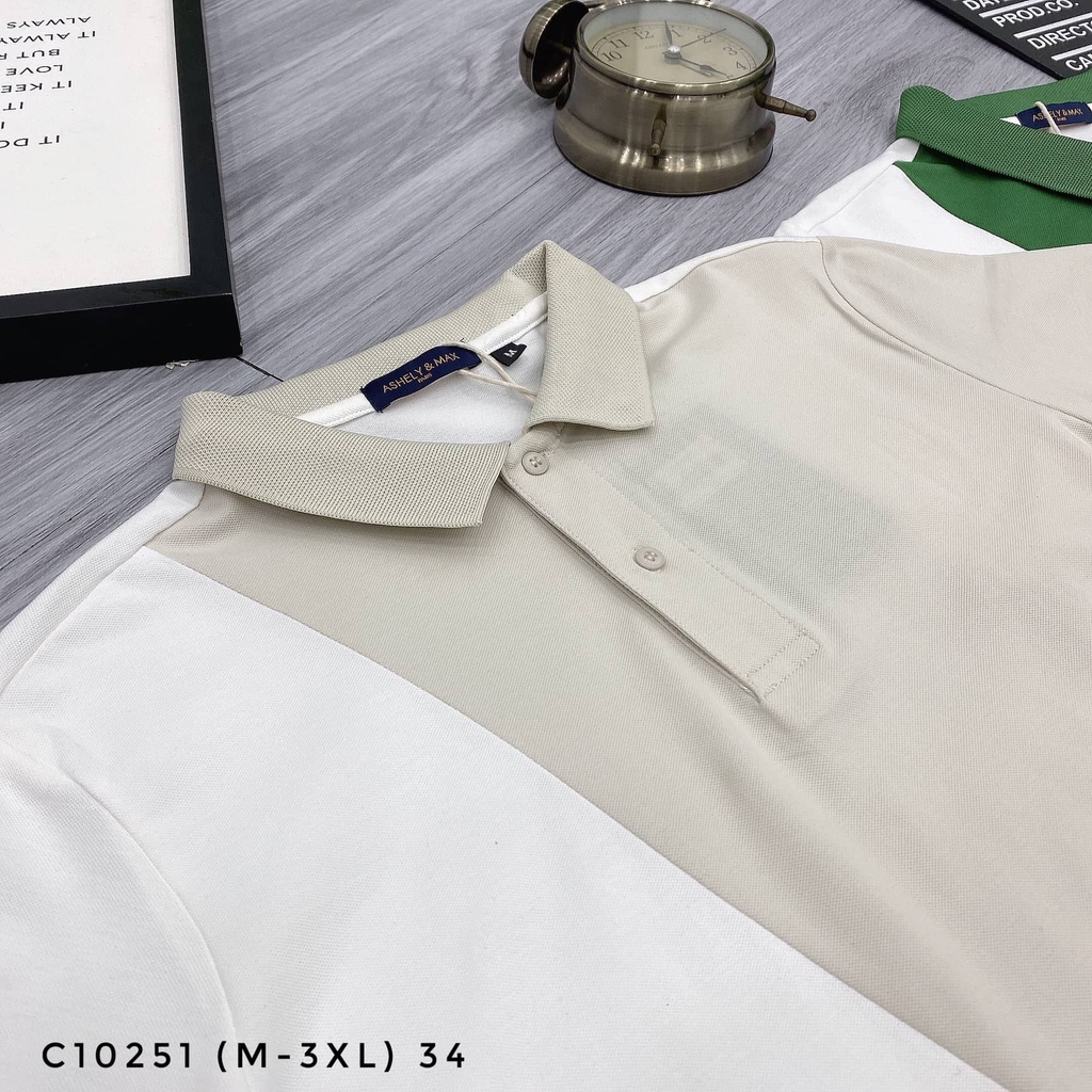 AT POLO C10251 (M-3XL)