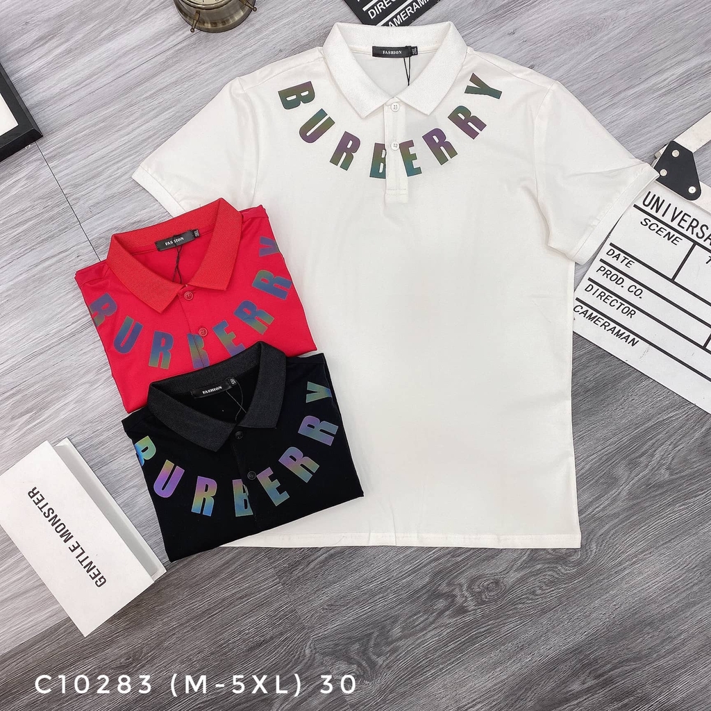 AT POLO C10283 (M-5XL)