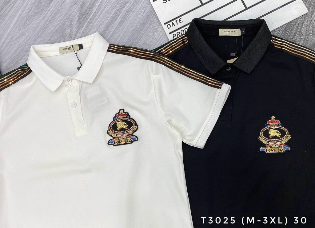 AT POLO T3025 (M-3XL)