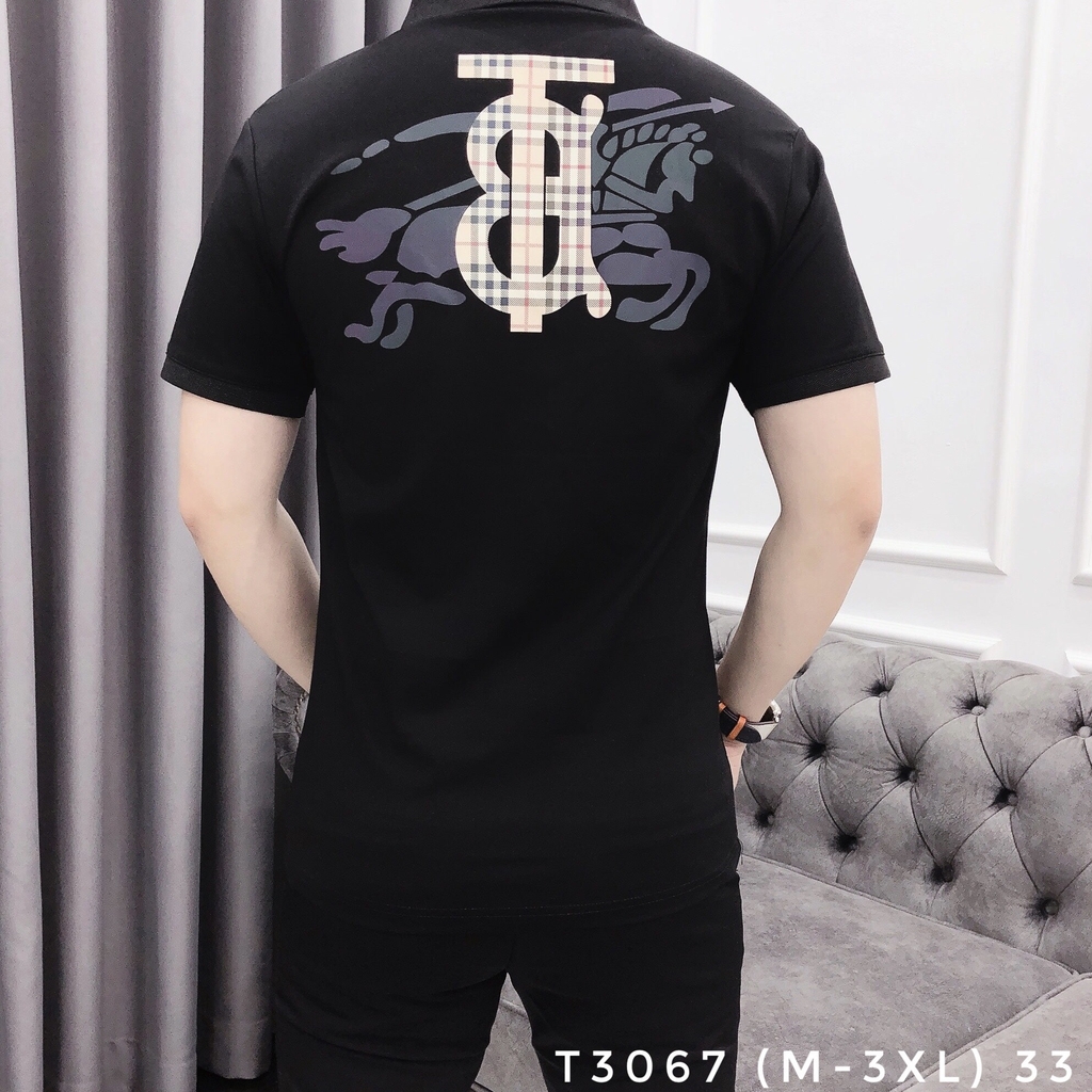 AT POLO T3067 (M-3XL)