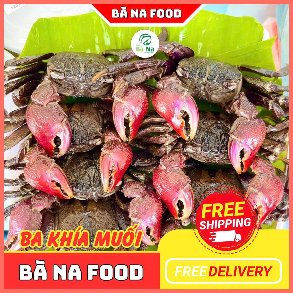 Mắm ba khía muối nguyên con Rạch Gốc Cà Mau - Bao chắc thịt từng con - Thơm ngon hấp dẫn