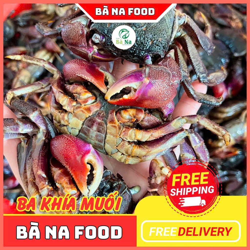 Mắm ba khía muối nguyên con Rạch Gốc Cà Mau - Bao chắc thịt từng con - Thơm ngon hấp dẫn