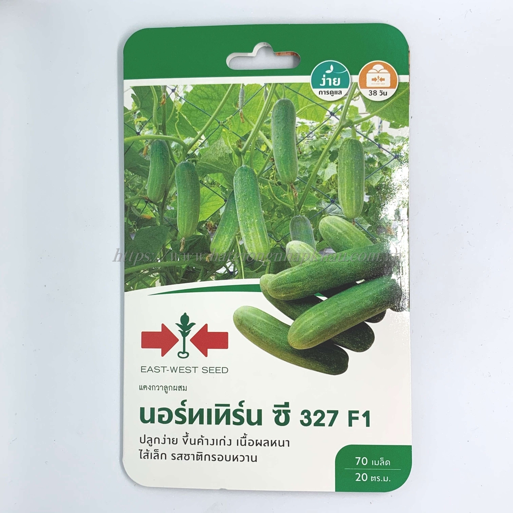 Hạt giống dưa chuột hai mũi tên 327 f1 Thái Lan