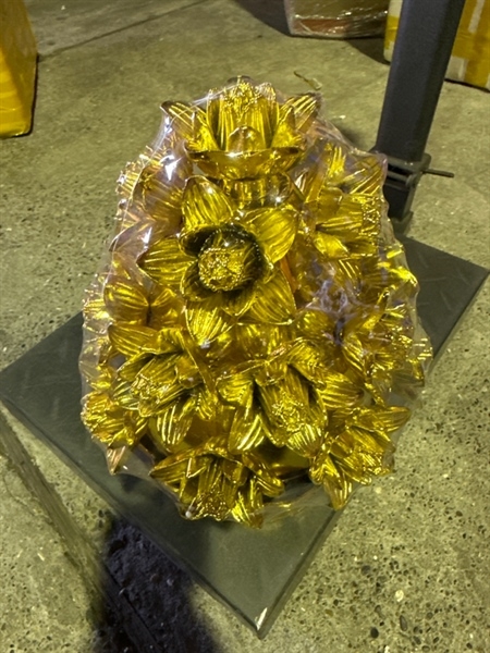 bông hoa đậu xanh to