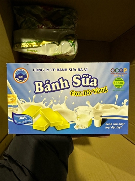 bánh sữa con bò vàng
