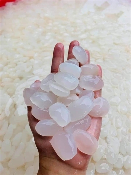 hạt đác tươi 1 kg