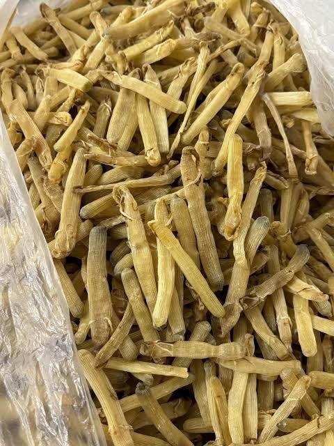 Sá sùng 1 kg