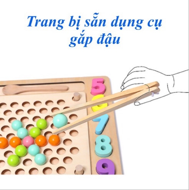 Đồ chơi gắp hạt kèm câu cá - thả số hình khối, xâu dây bằng gỗ thông an toàn cho bé