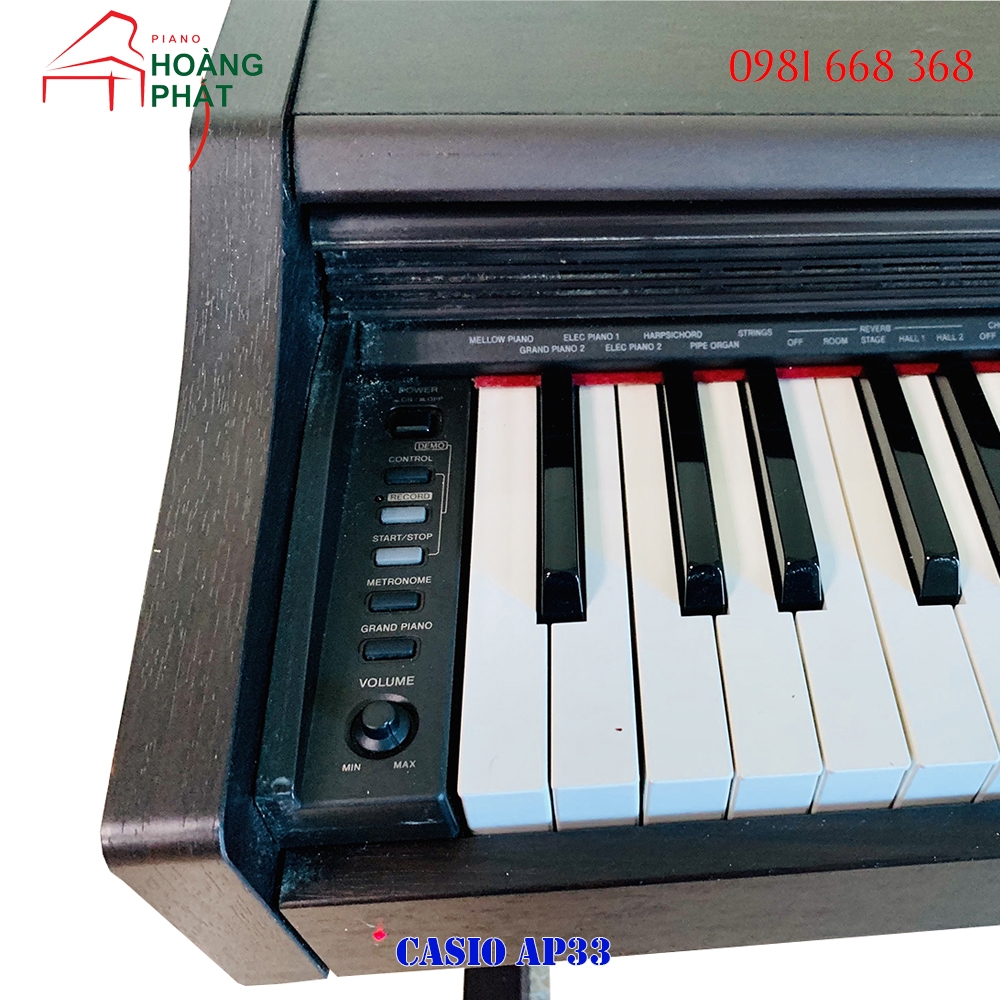 CASIO AP33