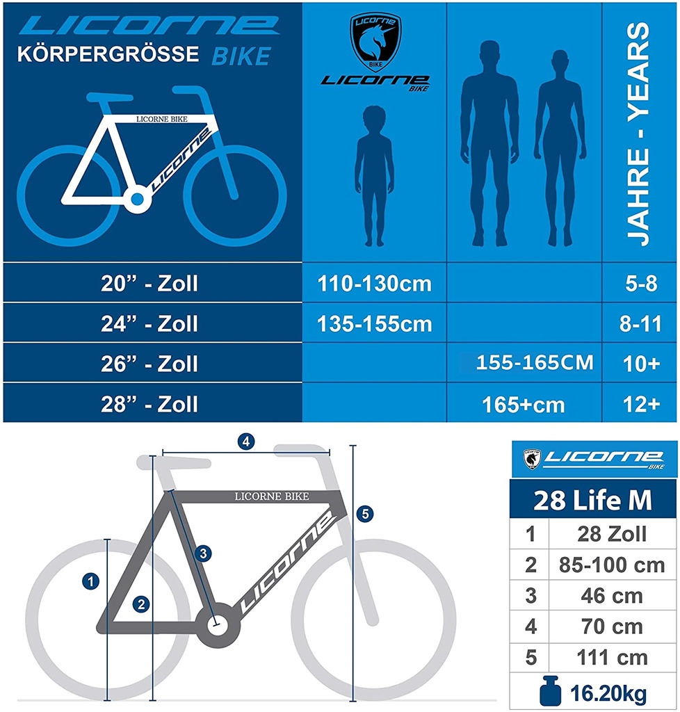 Xe đạp nam Licorne Bike Life-M-V