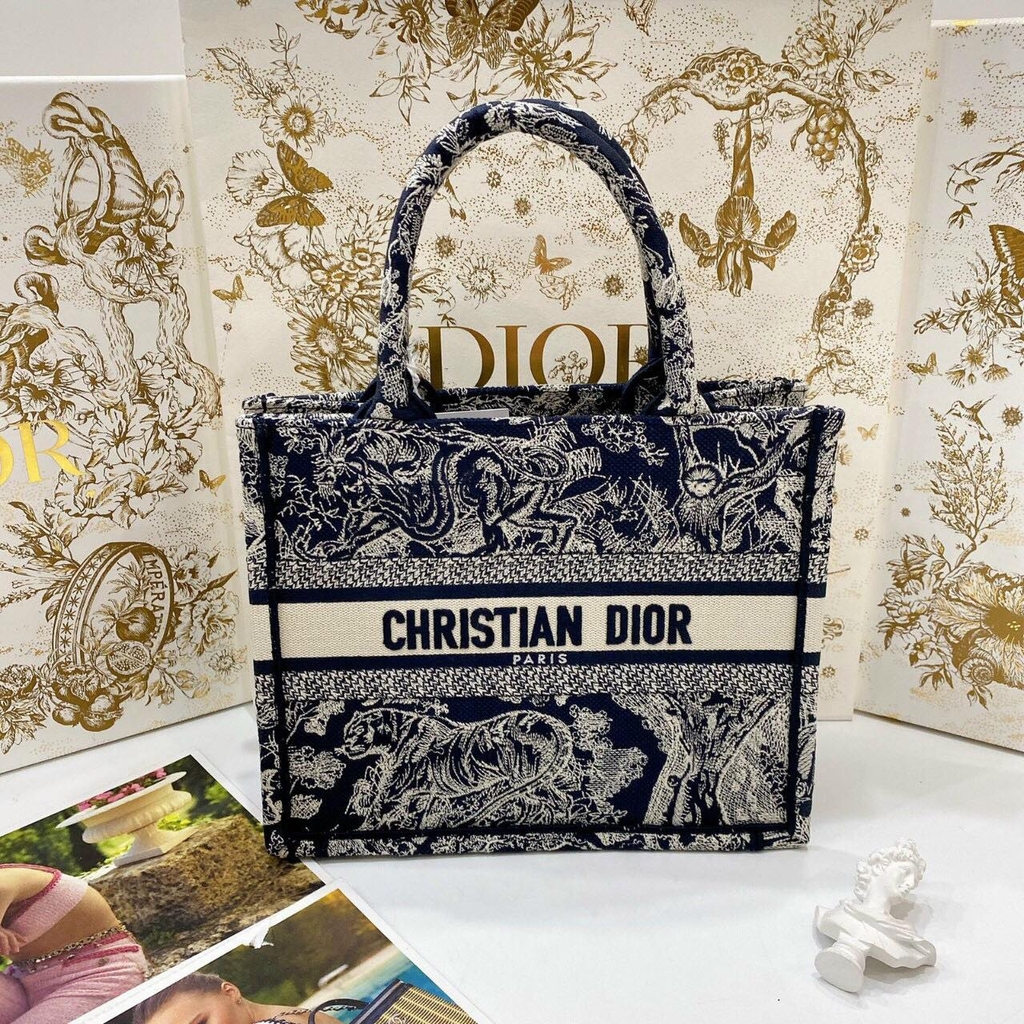 Túi Dior tote small