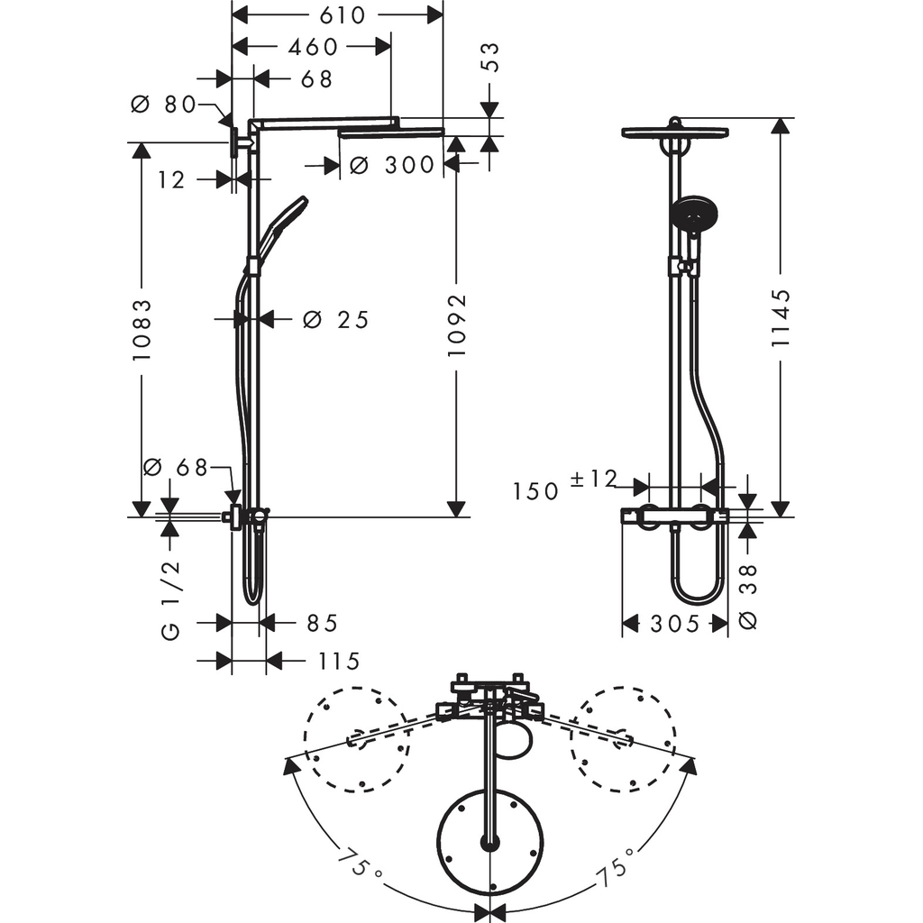 Sen cây Hansgrohe Raindance S 300 27114000