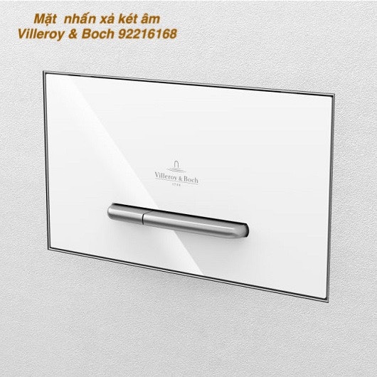 Mặt nhấn xả két âm Villeroy & Boch ViConnect 92216168