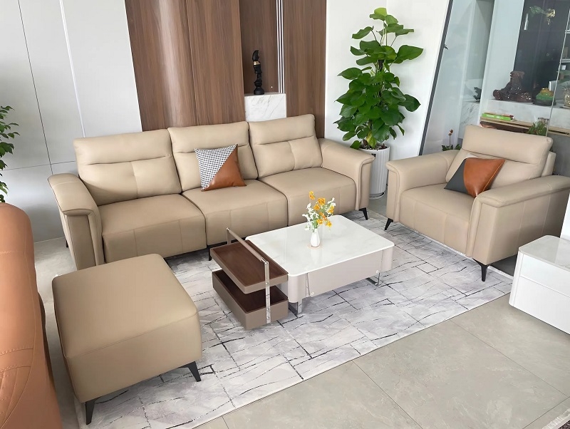 Bộ Ghế Sofa Phòng Khách 1174T