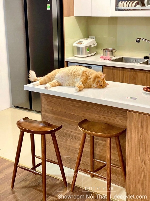 Ghế Bar Gỗ Đẹp 256T
