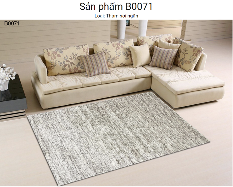 Thảm Lót Sofa Hiện Đại B0071