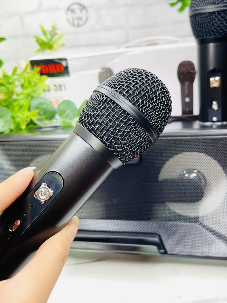 LOA KARAOKE TẶNG KÈM 2 MICRO KHÔNG DÂY CỰC HAY MÃ SD301 (60)