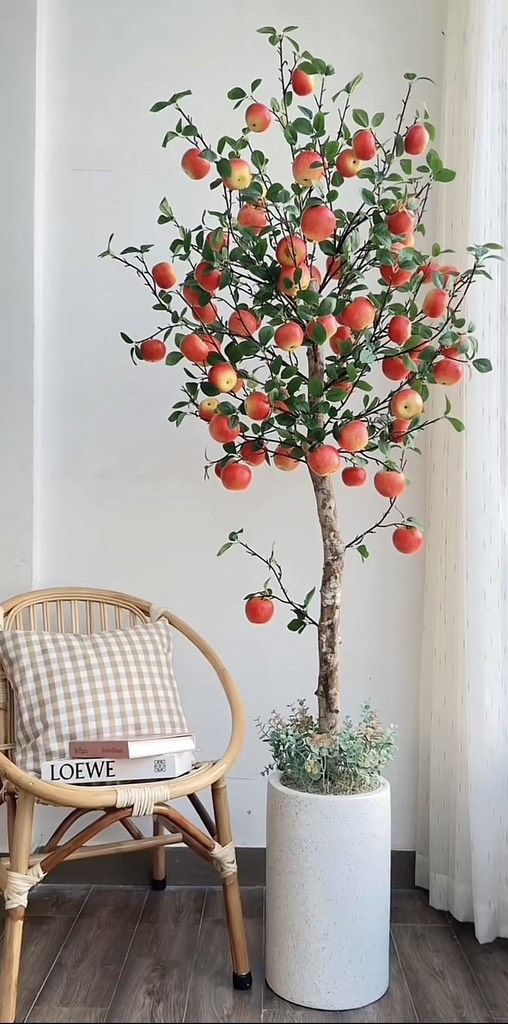 CÀNH TÁO LỚN TRANG TRÍ DECOR (3)
